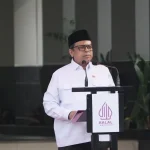 Babe Haikal