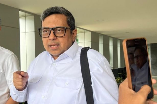 babe haikal