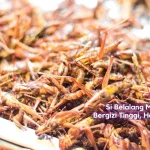 belalang halal