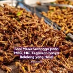 menu serangga makan bergizi gratis