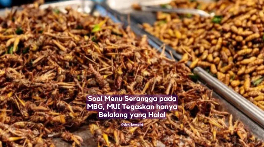 menu serangga makan bergizi gratis