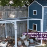 tips membuat kandang ayam