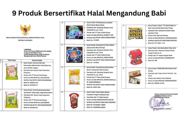 9 produk bersertifikat halal mengandung babi