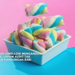 polemik produk mengandung porcine