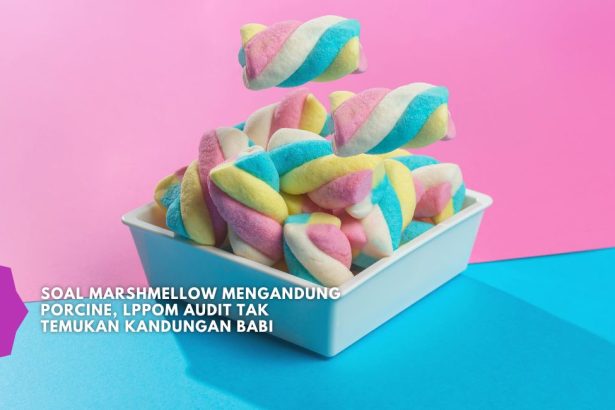 polemik produk mengandung porcine