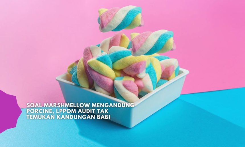 polemik produk mengandung porcine