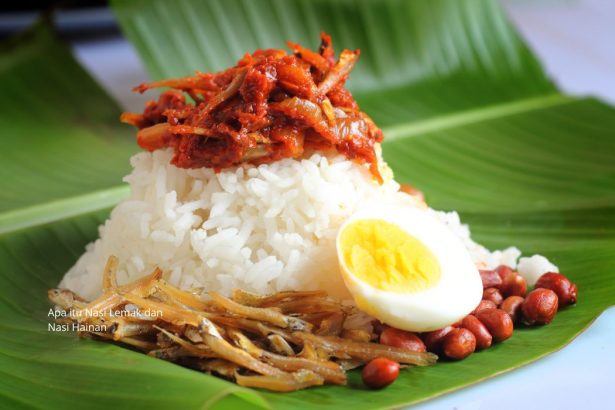 apa itu nasi lemak dan nasi hainan