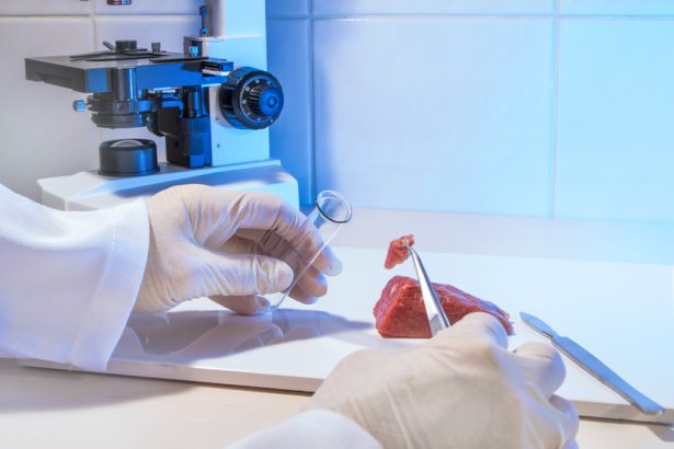 halal dan lingkungan